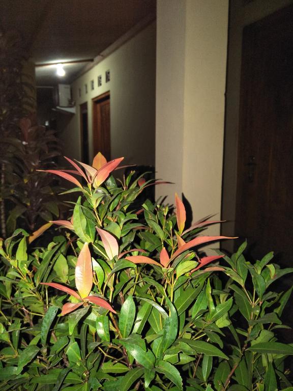 Homestay 77 Borobudur Magelang Εξωτερικό φωτογραφία